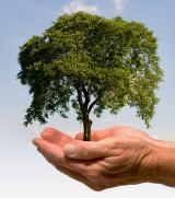 Heilpraktiker Pfarrkirchen